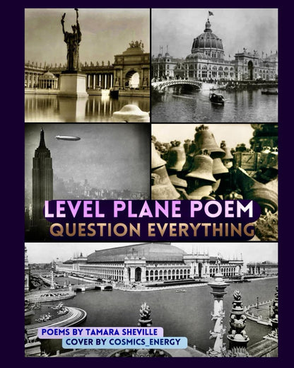 Level Plane Poem: Question Everything (Level Plane Poem Series)